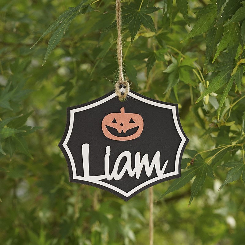 Personalized Halloween Trick or Treat Bag Name Tags for Candy Bucket 