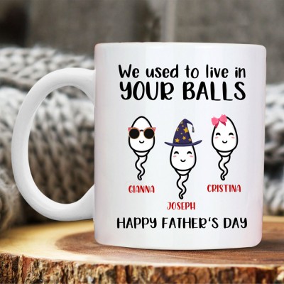 We Used To Live In Your Balls Mug Funny Gifts For Dad Father's Day Gift Ideas