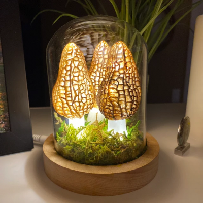 Handmade Wild Morel Mushroom Night Lights Valentine's Day Anniversary Gift for Her