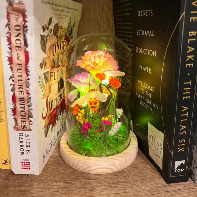 Original Eternal Flower Bee Night Light Love Gift Ideas for Her Anniversary Gift