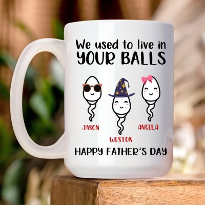 We Used To Live In Your Balls Mug Funny Gifts For Dad Father's Day Gift Ideas