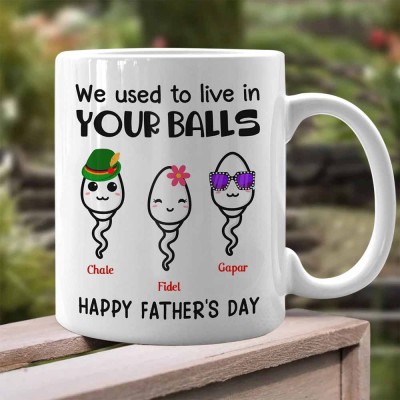Father's Day Gifts We Use To Live In Your Balls Mug Personalized Gift for Dad
