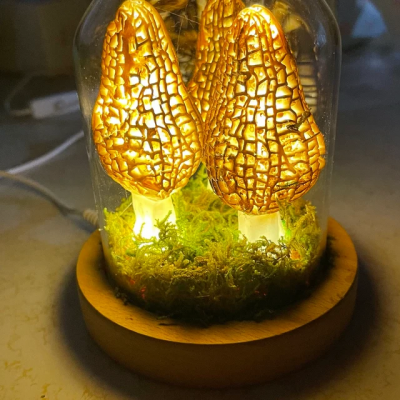 Handmade Wild Morel Mushroom Night Lights Valentine's Day Anniversary Gift for Her