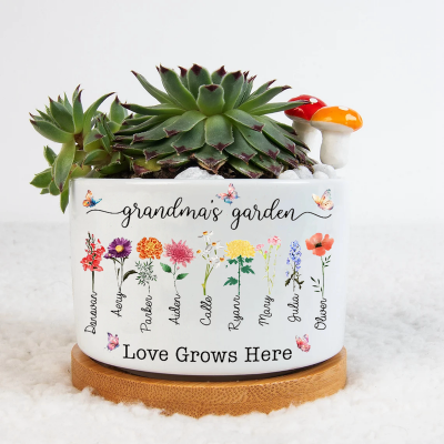 Personalized Grandma's Garden Mini Succulent Plant Pots Birth Flower Pot Mother's Day Gift