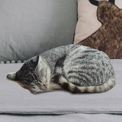 Silkscreen Sleeping Cat Pillow